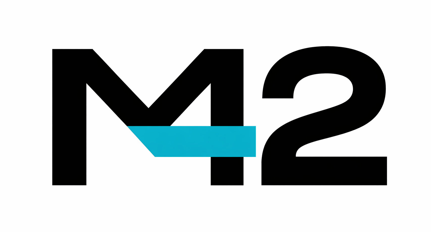 Partner 11