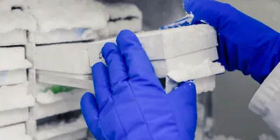 Laboratory Cold Storage & Environmental Control