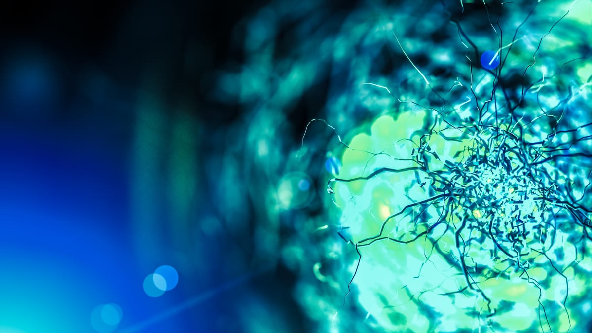 Fluorescence Microscopy