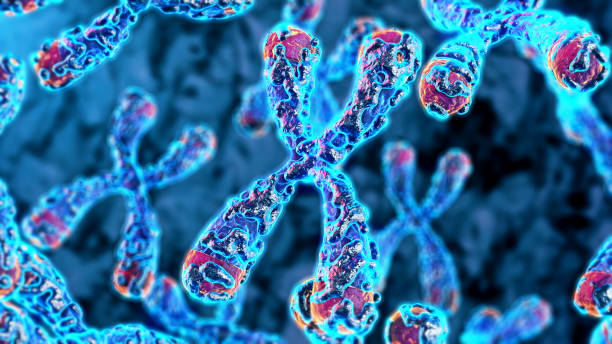 Molecular Biology & Genomics