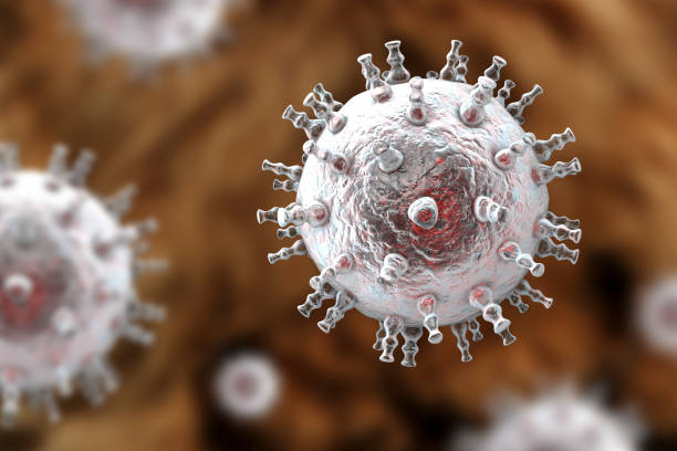 Immunology & Protein Analysis